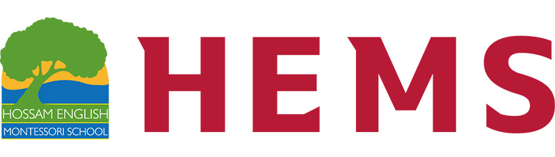 HEMS